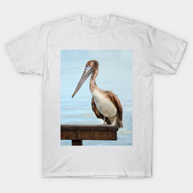 Pelican T-Shirt by Femaleform